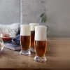 AUGUSTIN IPA 39 CL 2PK