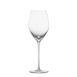 ICON CHAMPAGNEGLASS CLASSIC