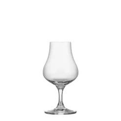 ODYSSÉ COGNACGLASS 24CL 6PK